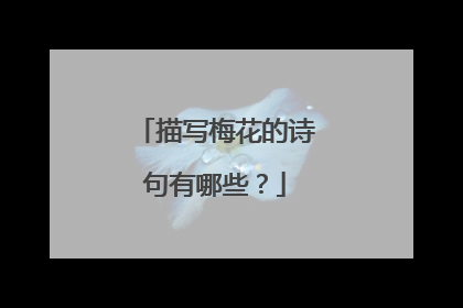 描写梅花的诗句有哪些?
