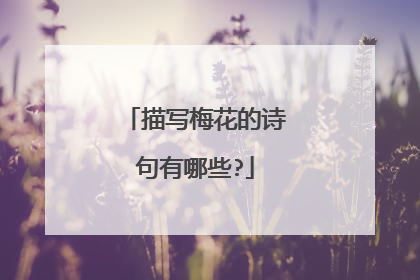 描写梅花的诗句有哪些?