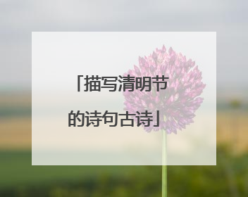 描写清明节的诗句古诗