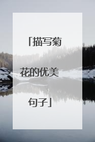 描写菊花的优美句子