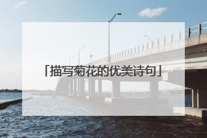 描写菊花的优美诗句