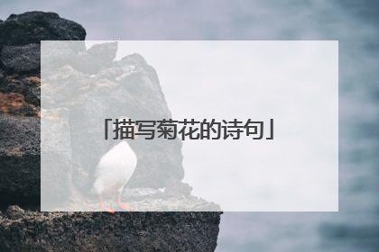 描写菊花的诗句