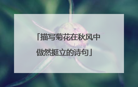 描写菊花在秋风中傲然挺立的诗句