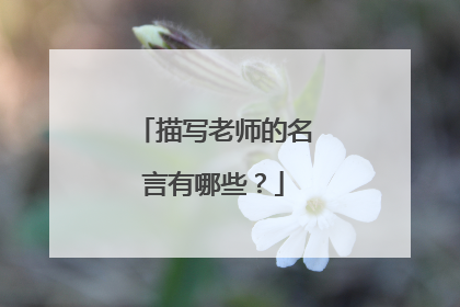 描写老师的名言有哪些?