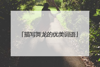 描写舞龙的优美词语