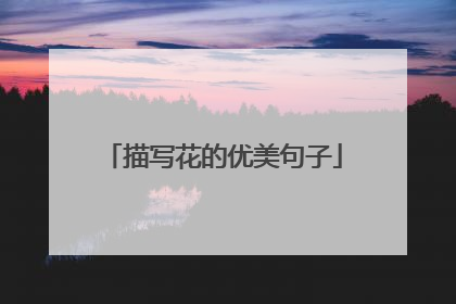 描写花的优美句子