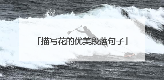 描写花的优美段落句子