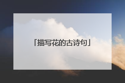描写花的古诗句