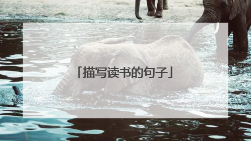 描写读书的句子