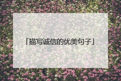 描写诚信的优美句子