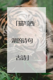 描写西湖的诗句古诗