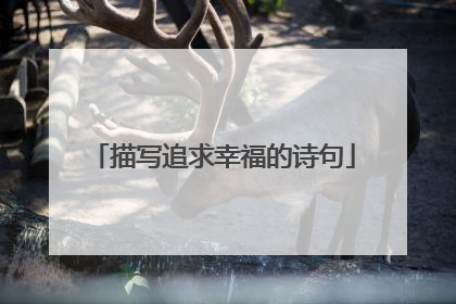描写追求幸福的诗句