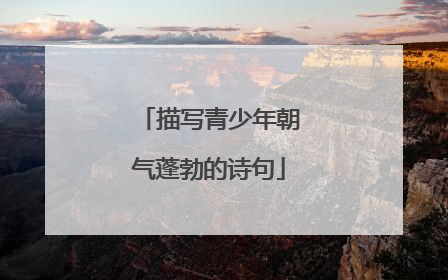 描写青少年朝气蓬勃的诗句