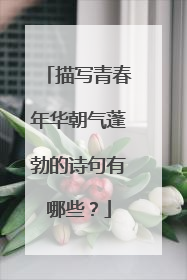 描写青春年华朝气蓬勃的诗句有哪些?