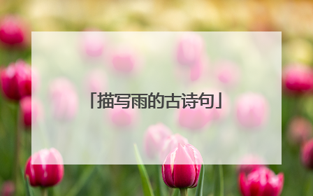 描写雨的古诗句
