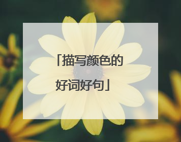 描写颜色的好词好句