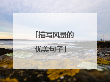 描写风景的优美句子