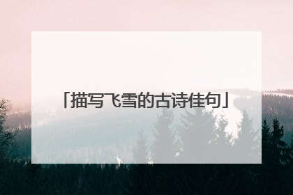 描写飞雪的古诗佳句