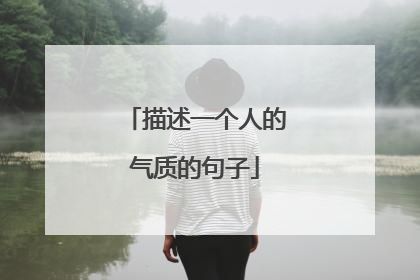 描述一个人的气质的句子