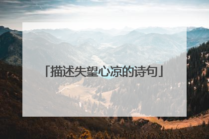 描述失望心凉的诗句