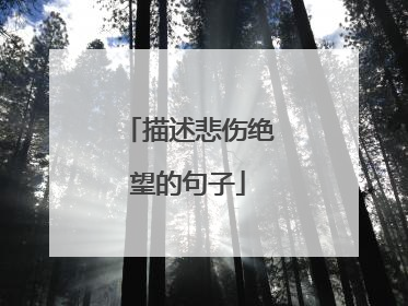 描述悲伤绝望的句子