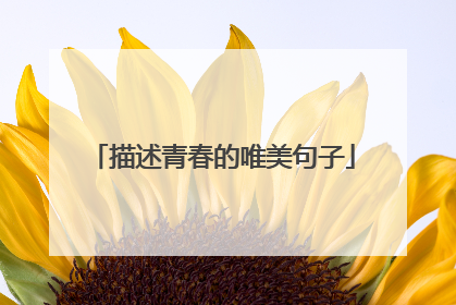 描述青春的唯美句子