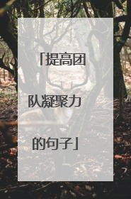 提高团队凝聚力的句子