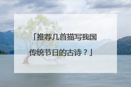 推荐几首描写我国传统节日的古诗?