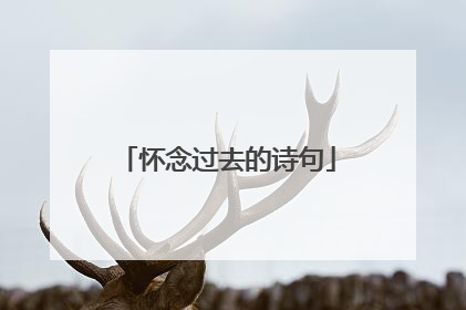 怀念过去的诗句