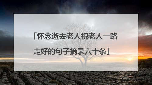 怀念逝去老人祝老人一路走好的句子摘录六十条