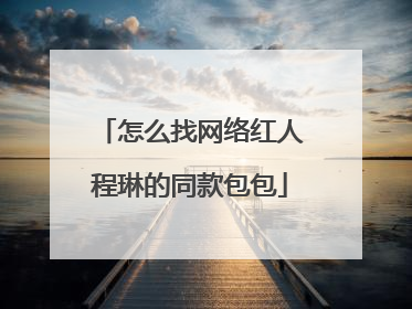 怎么找网络红人程琳的同款包包