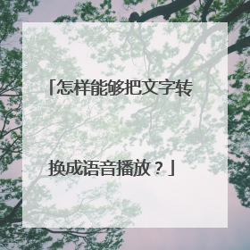 怎样能够把文字转换成语音播放?