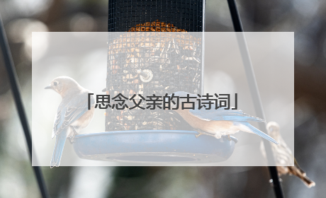 思念父亲的古诗词