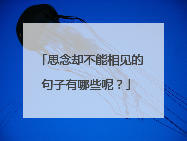 思念却不能相见的句子有哪些呢?