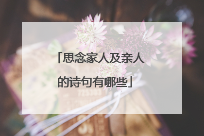 思念家人及亲人的诗句有哪些