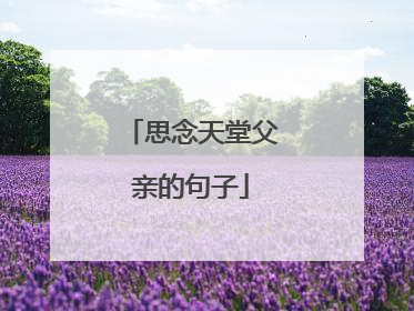 思念天堂父亲的句子