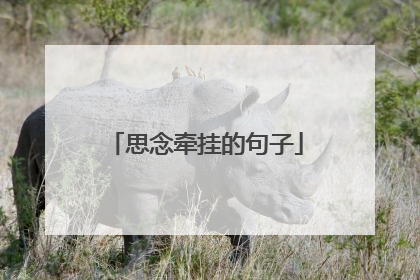 思念牵挂的句子