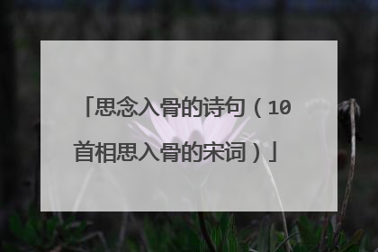 思念入骨的诗句(10首相思入骨的宋词)