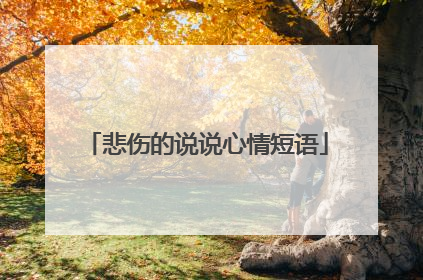 悲伤的说说心情短语