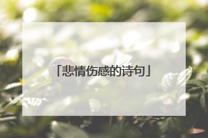 悲情伤感的诗句