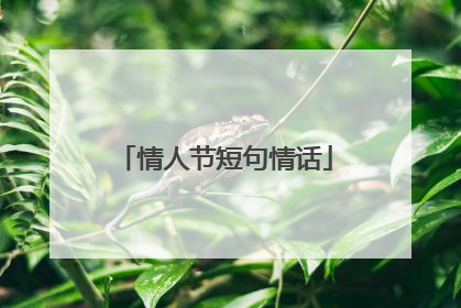 情人节短句情话