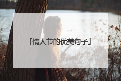 情人节的优美句子