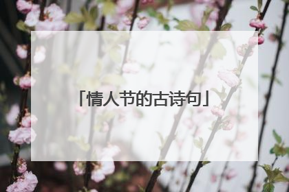 情人节的古诗句