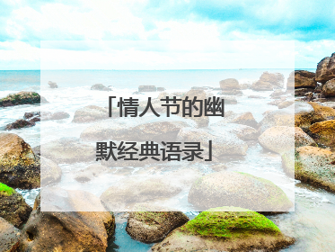 情人节的幽默经典语录