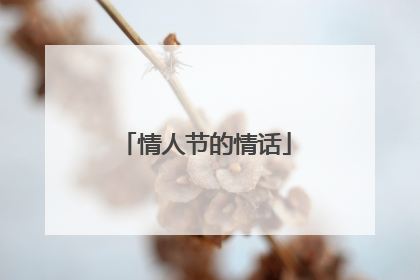 情人节的情话