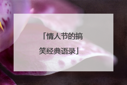 情人节的搞笑经典语录