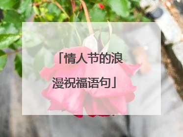 情人节的浪漫祝福语句