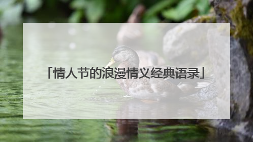情人节的浪漫情义经典语录