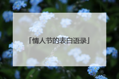 情人节的表白语录