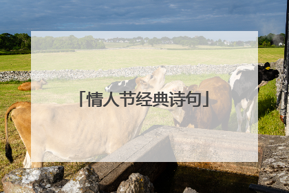 情人节经典诗句